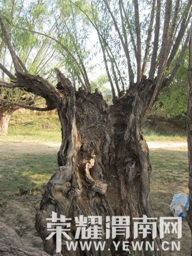 ��Ƭ 373_��С��С.jpg