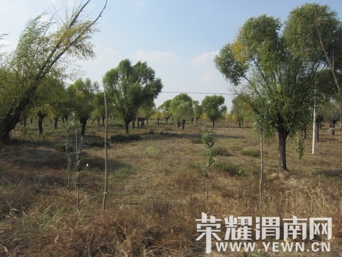 ��Ƭ 381_��С��С.jpg