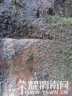 ��Ƭ 356_��С��С.jpg