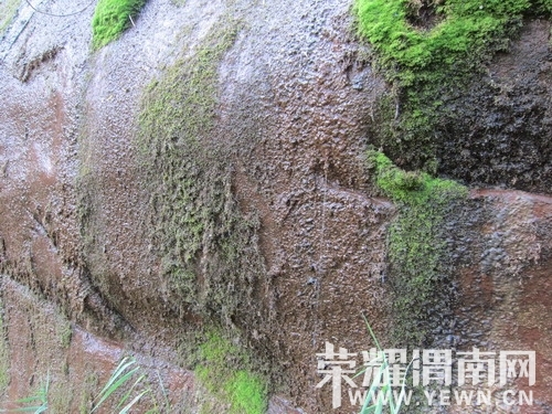 ��Ƭ 357_��С��С.jpg