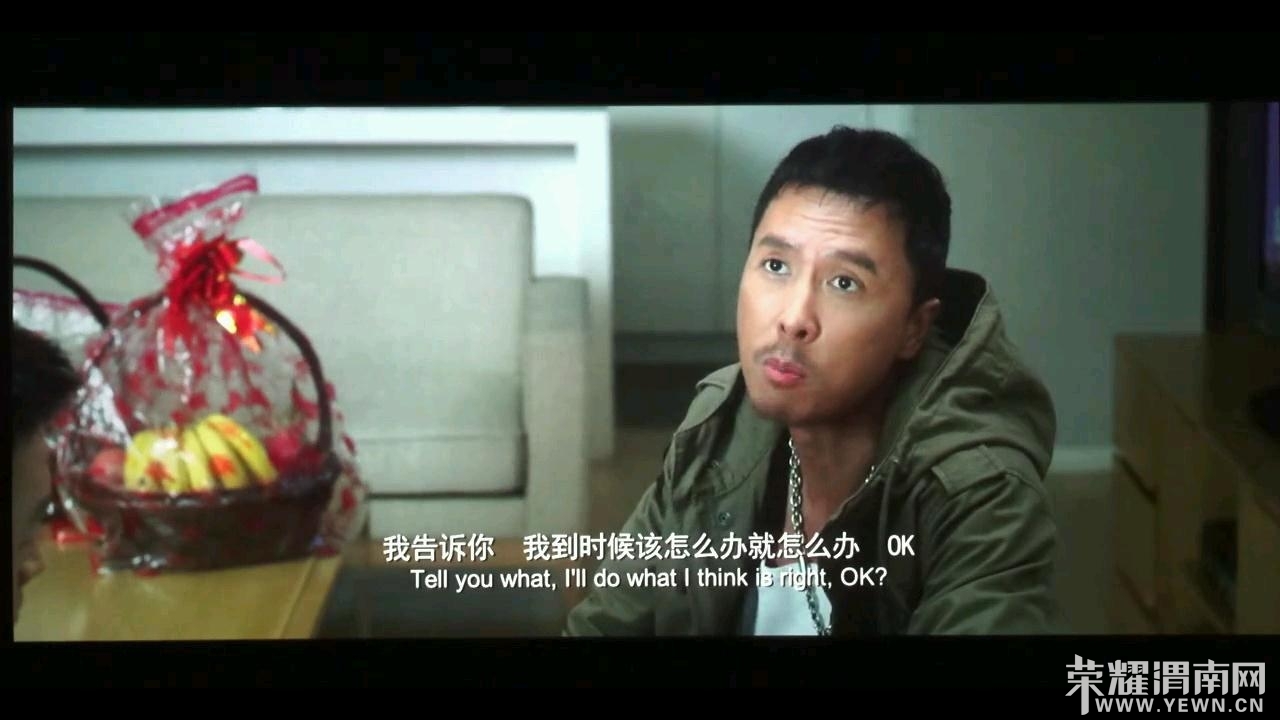 [2013][特殊身份/ 终极解码 ][高清1280版- 甄子丹 