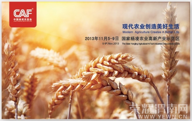 ����ũ�߻�11��5���ٿ�