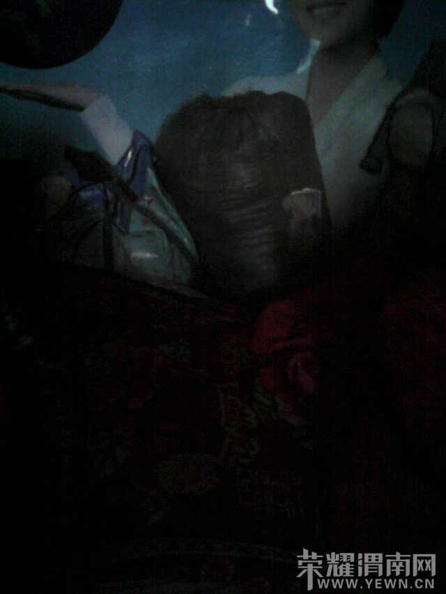 ������������ο��һ����Ƭ