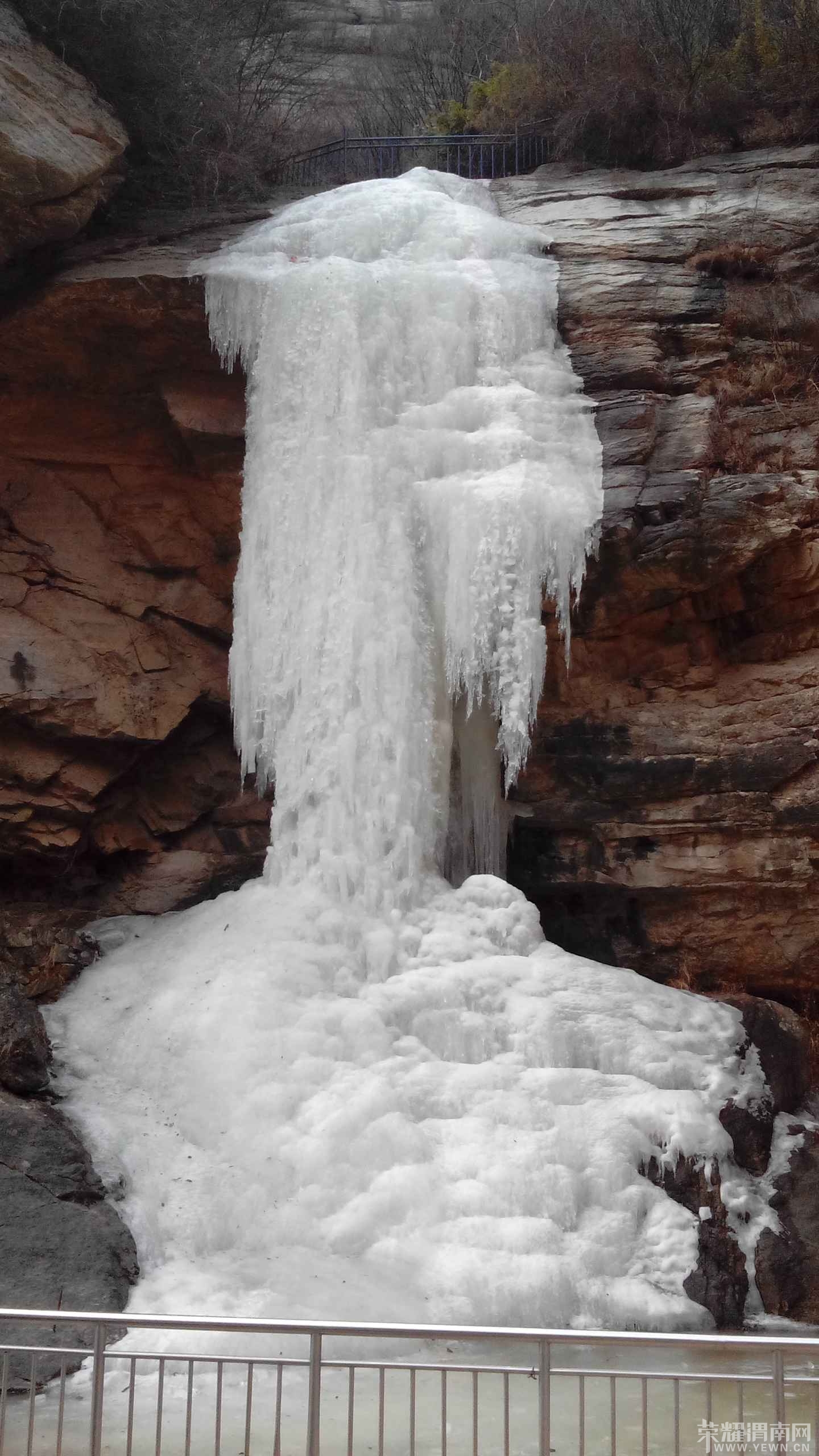 ����ı���