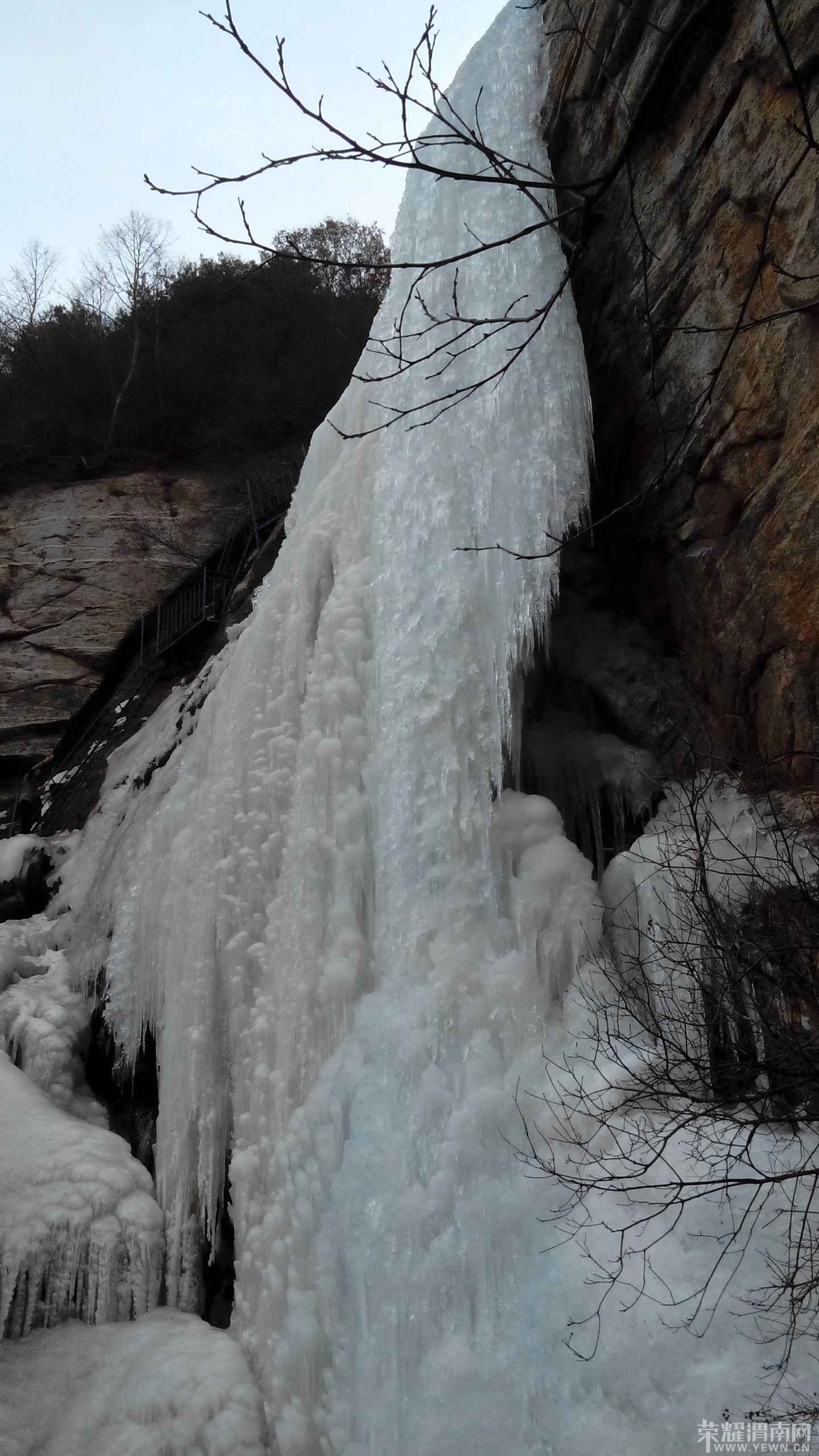 ������ı���