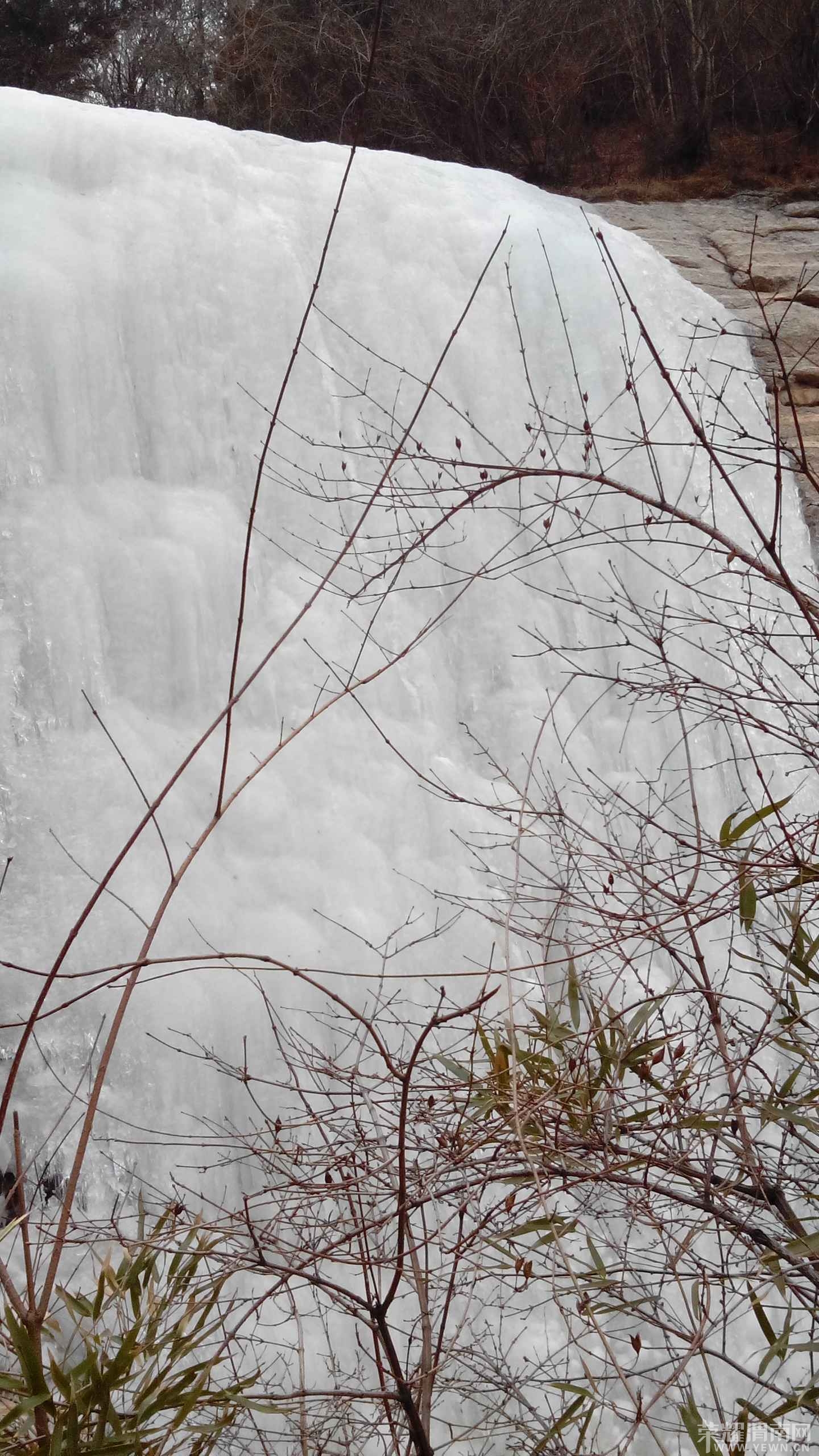 ������ı��٣����ɣ�