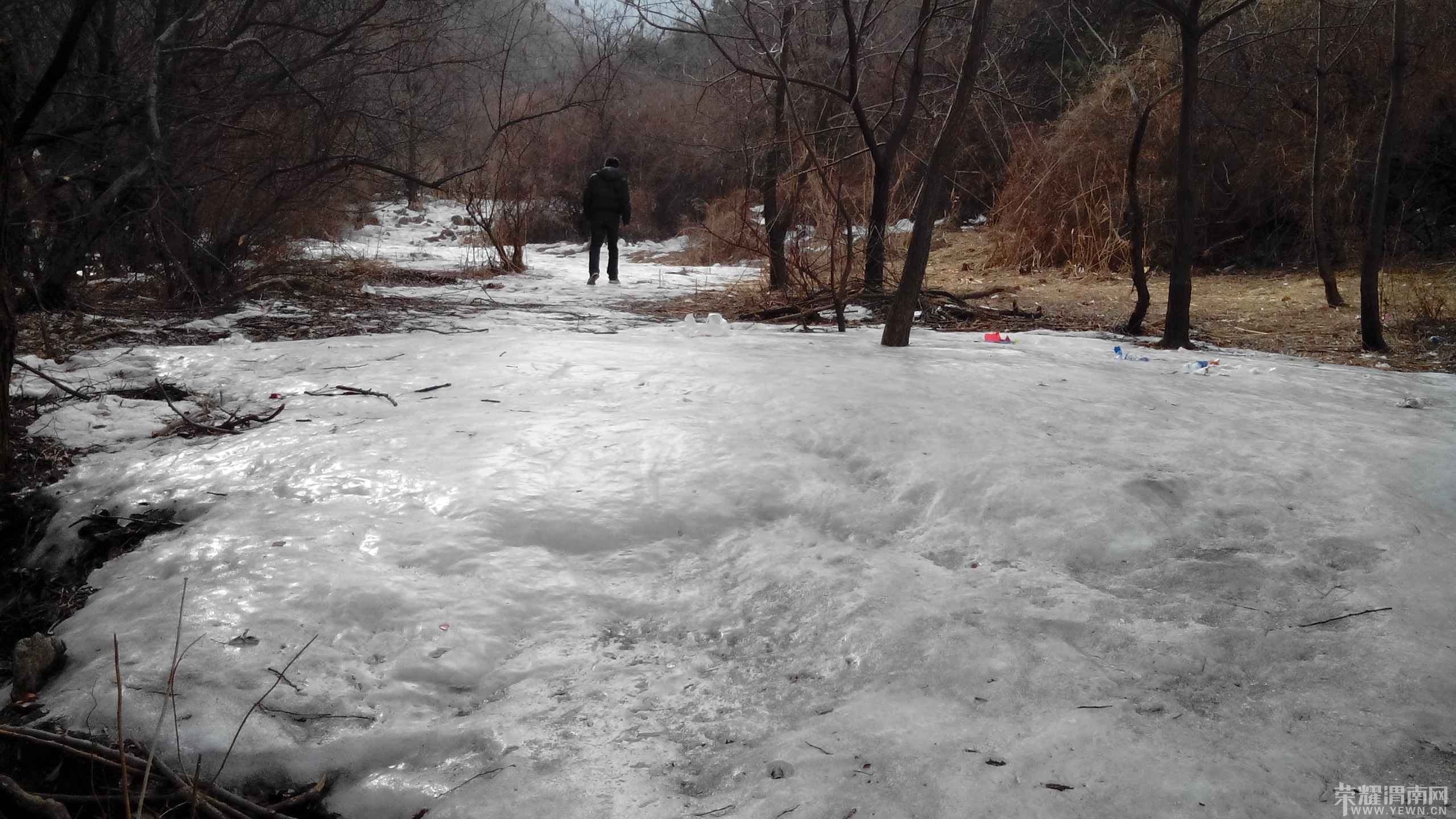 ��Ƭ����