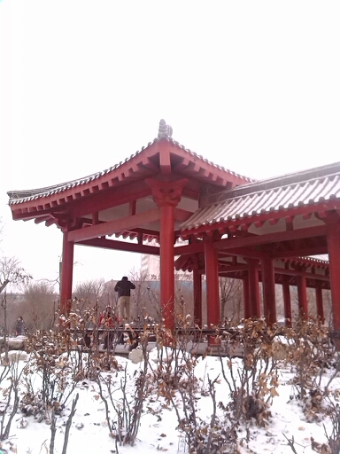 20140205212724_12399.jpg