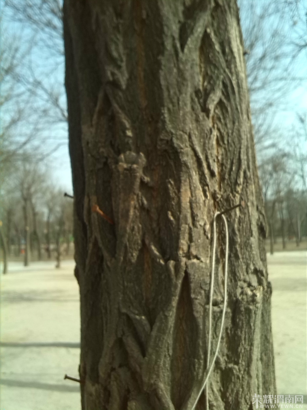 IMG_20140203_140922_meitu_1.jpg