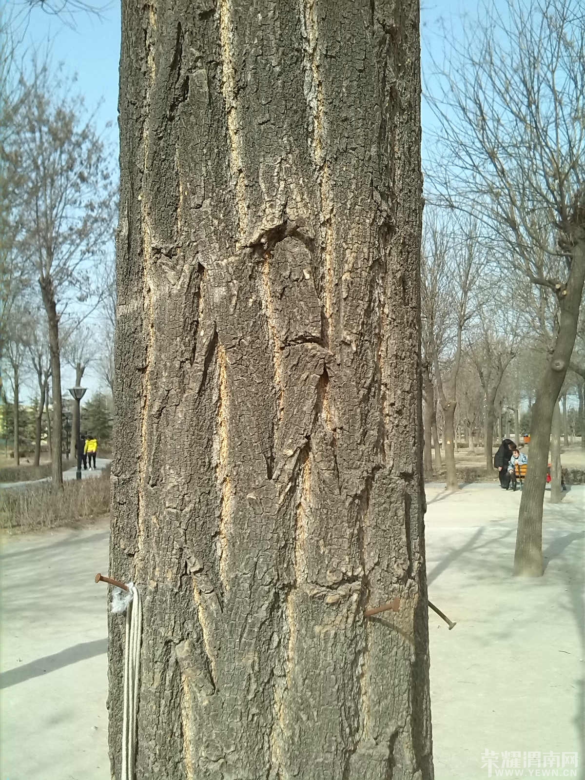 IMG_20140203_140940_meitu_2.jpg