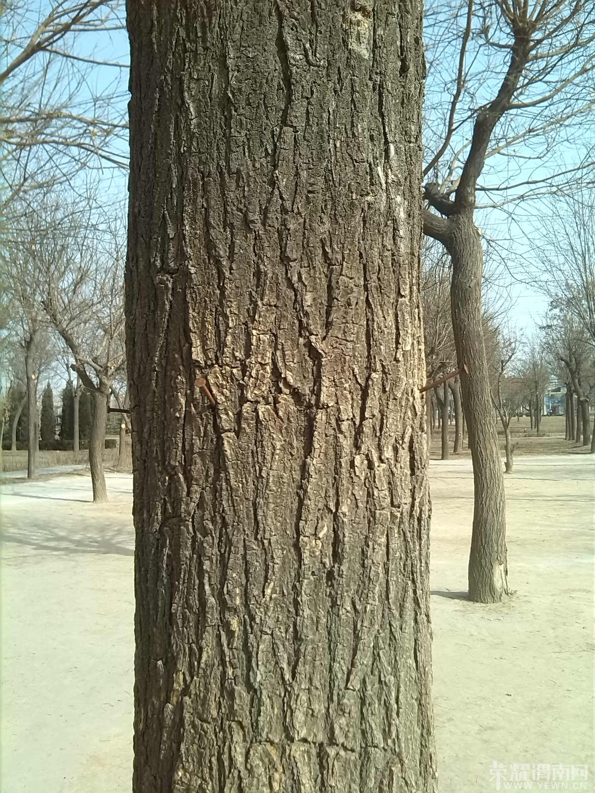 IMG_20140203_140957_meitu_3.jpg