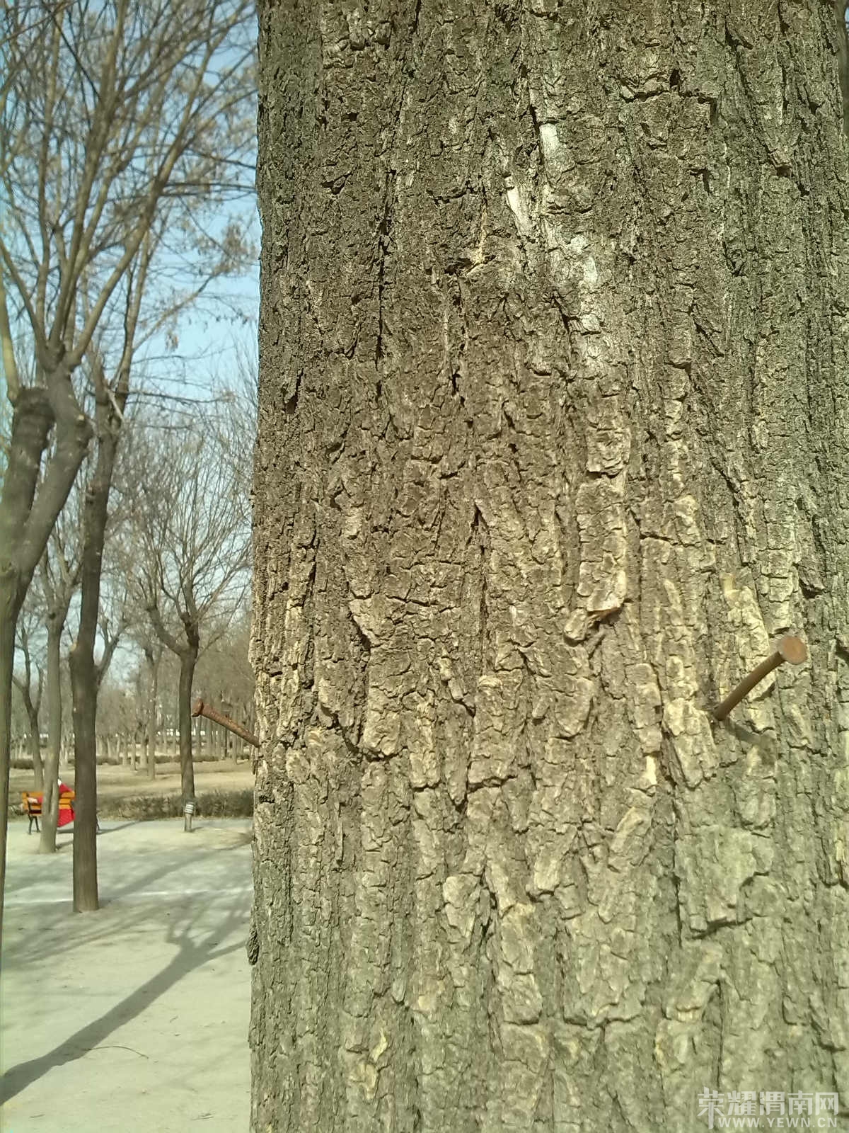 IMG_20140203_141435_meitu_8.jpg
