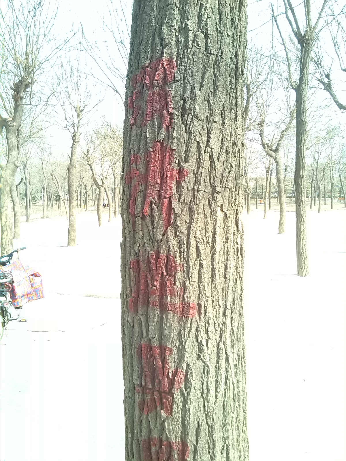 IMG_20140203_142827_meitu_9.jpg