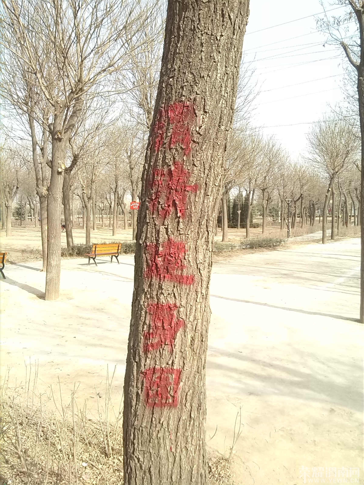 IMG_20140203_142844_meitu_10.jpg
