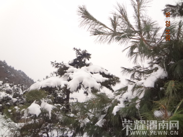 DSC08940.JPG