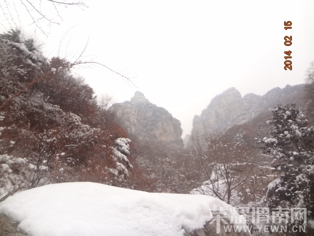DSC08960.JPG