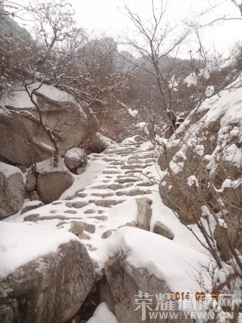 DSC08966.JPG