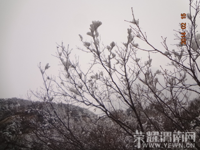 DSC09010.JPG