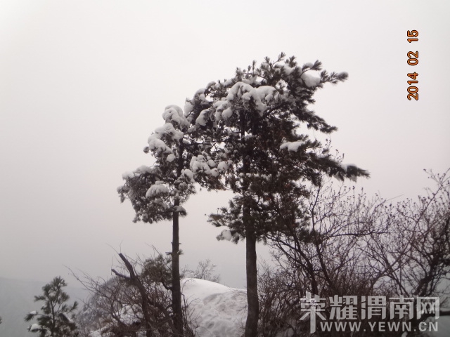 DSC09011.JPG
