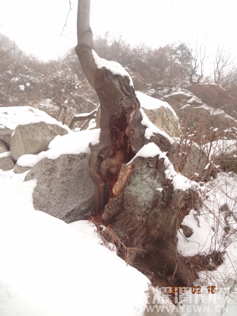 DSC09029.JPG