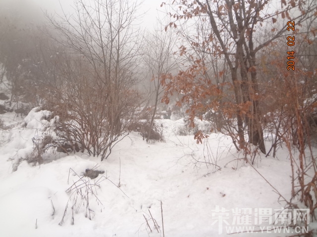 DSC09206.JPG