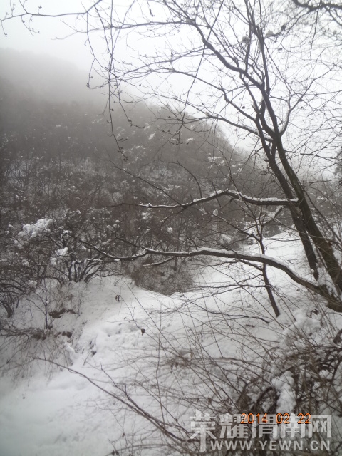 DSC09254.JPG