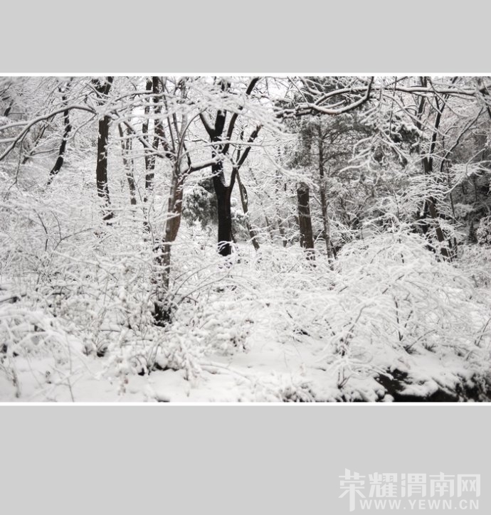 505f21a7gd7029ab87275&690.jpg