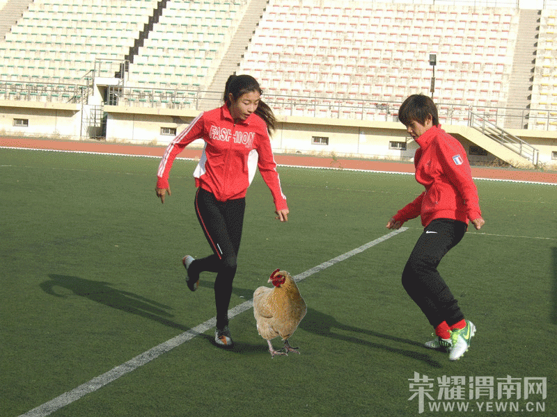 152938qsufmtqtmf10aadq.gif