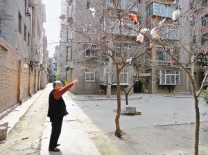 100286625.jpg