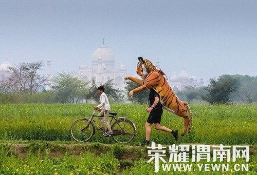 Img396325553.jpg