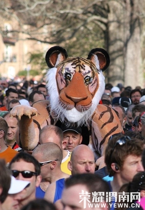 Img396285702.jpg