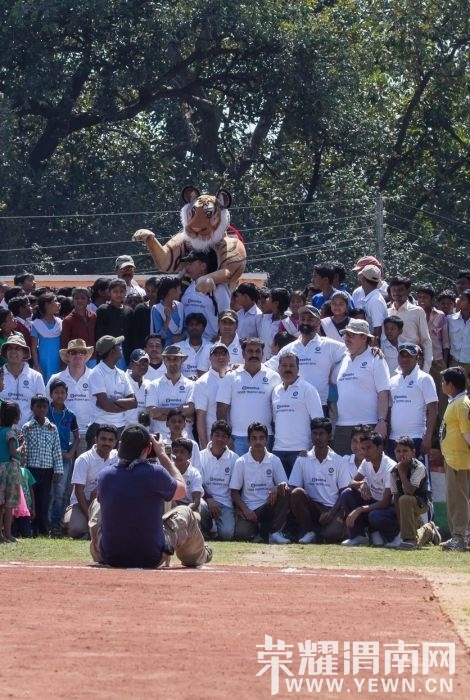 Img396285717.jpg