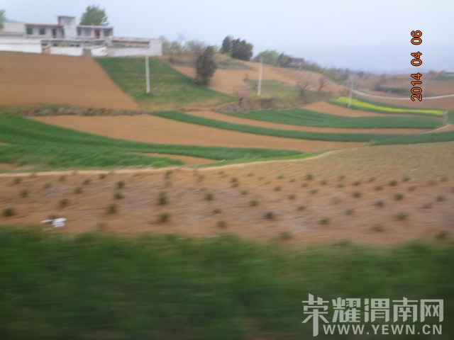 DSC00668.JPG