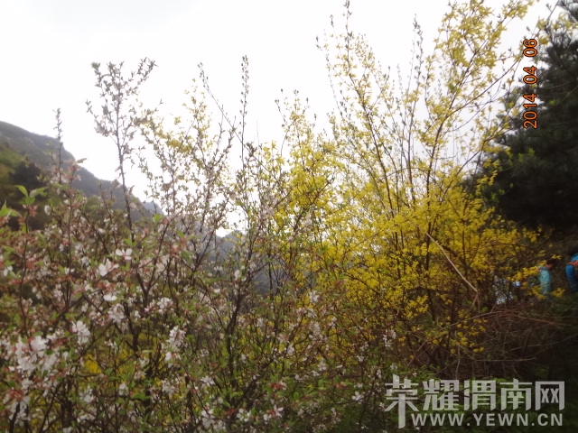 DSC00842.JPG