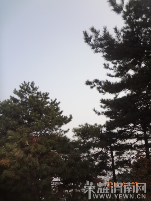DSC00938.JPG