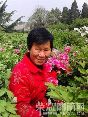 请提供正确的发动机号或车架号全部字母数字,