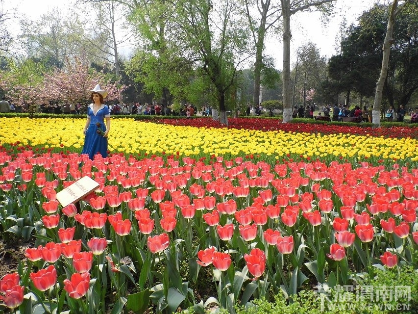 QQͼƬ20140414215946.jpg
