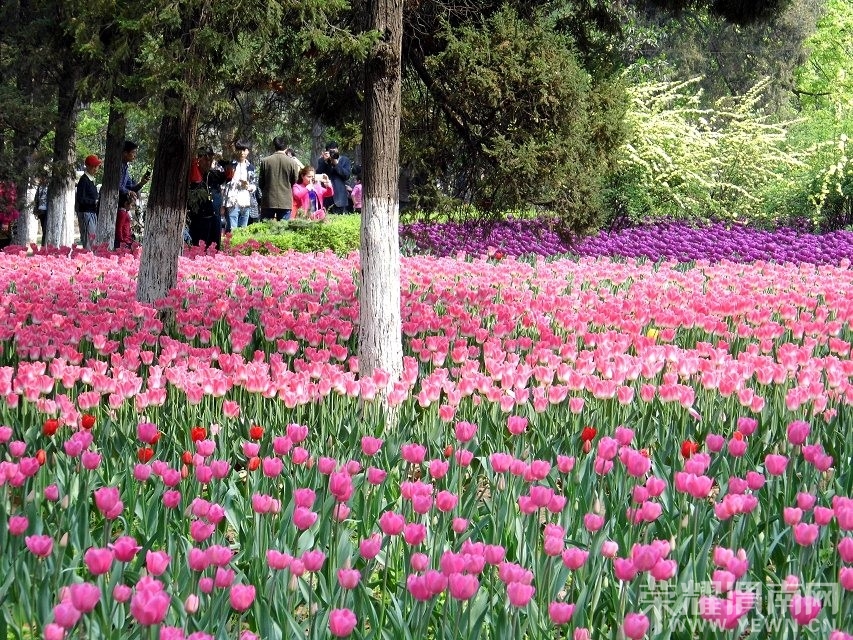QQͼƬ20140414220003.jpg