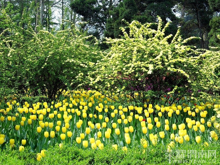 QQͼƬ20140414220012.jpg