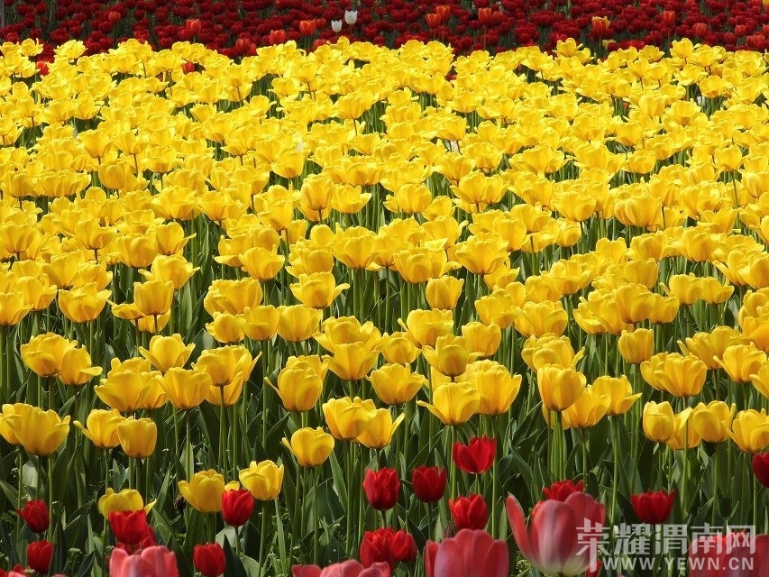 QQͼƬ20140414220029.jpg