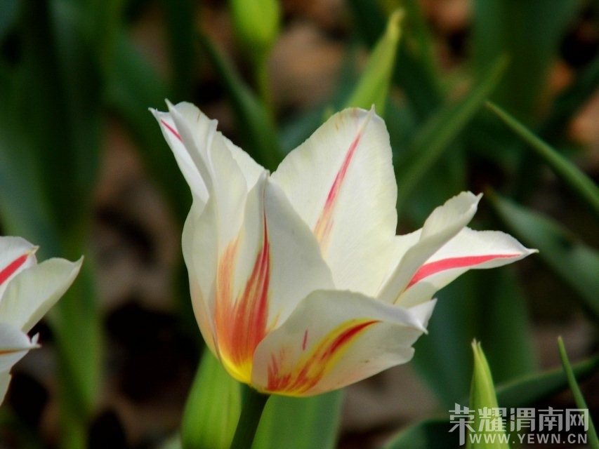 QQͼƬ20140414220054.jpg