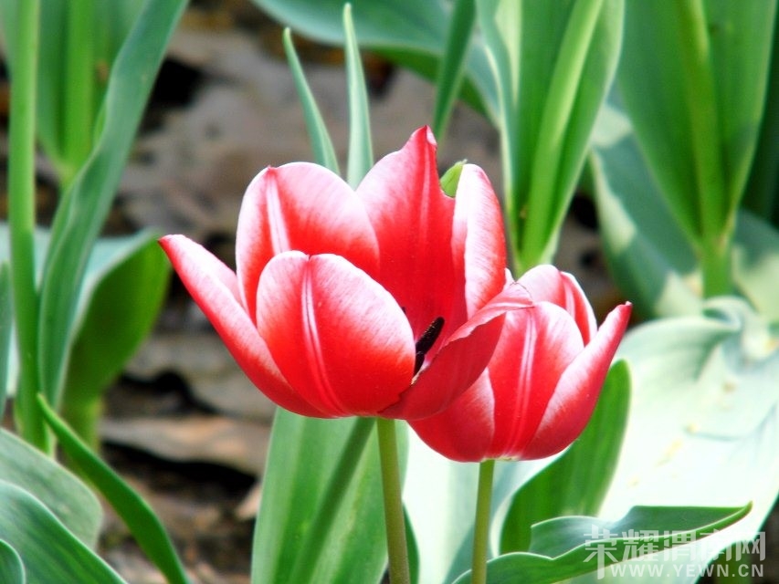 QQͼƬ20140414220047.jpg