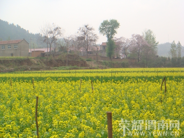 DSC01354_.jpg