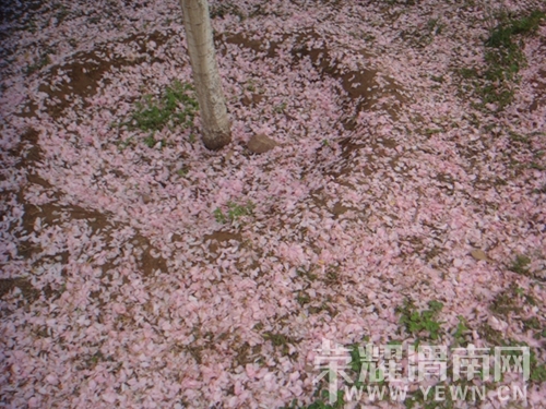 DSC01401___.jpg