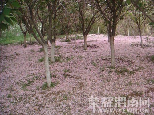 DSC01402__.jpg
