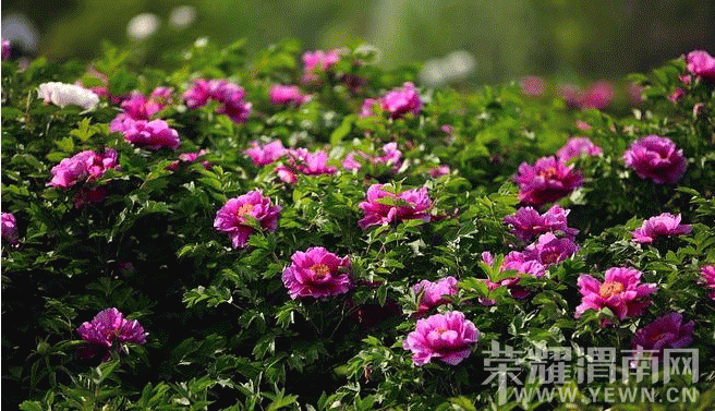 050702s5t3ex7xnncn3fn5.gif