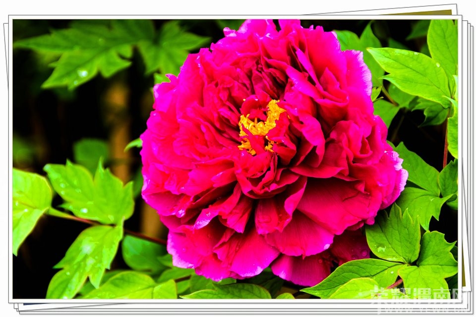 psb(1).jpg