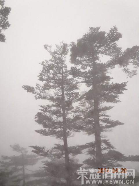 DSC01091.JPG