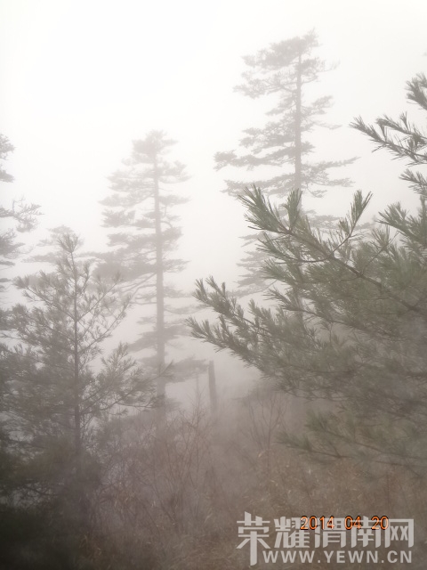 DSC01103.JPG