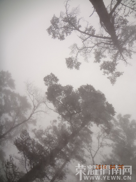 DSC01104.JPG